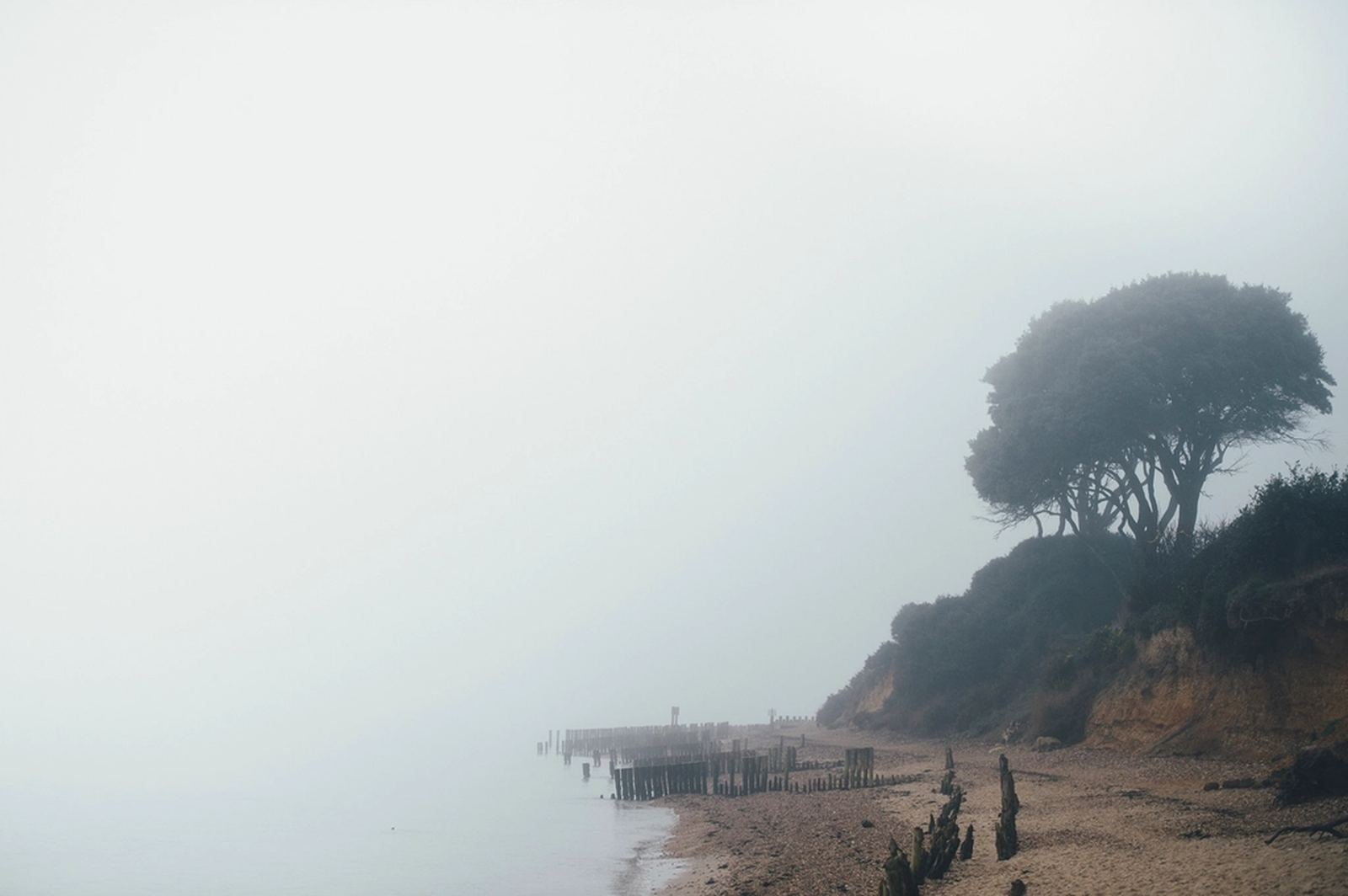 Soft fog resting over a quiet beach and headland at low tide