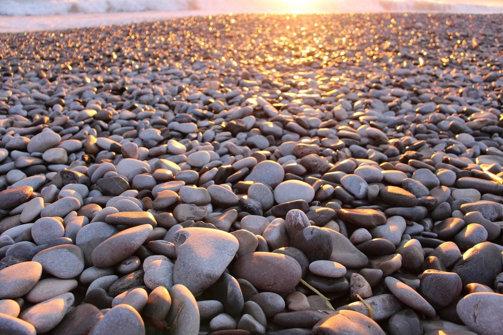 Sunlit pebbles worn smooth along a quiet beach
