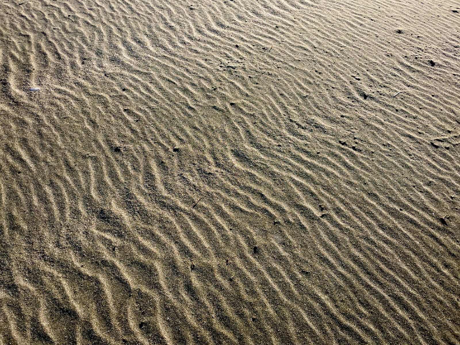 Fine ripples left in wet sand after the tide has drawn back