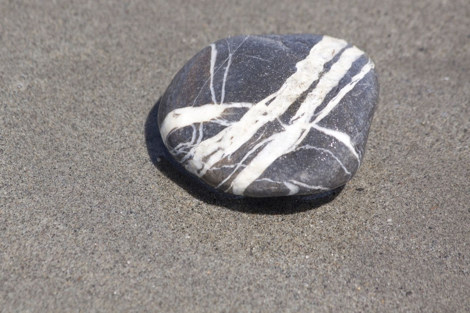 A smooth beach stone marked with pale mineral lines resting on wet sand
